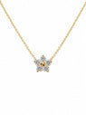 Gold Botanical Pendant Set QROSH