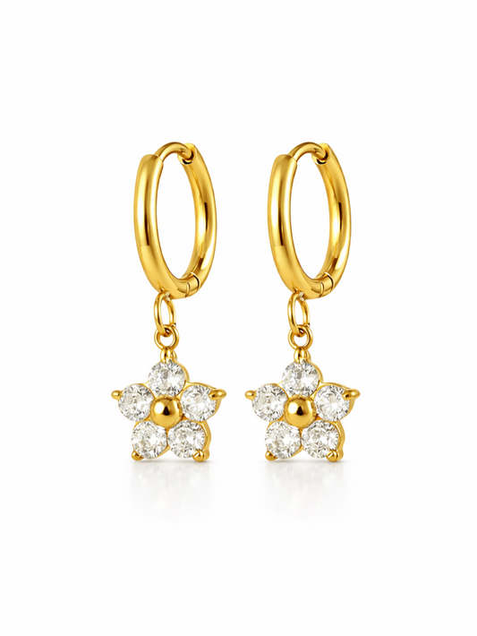 Gold Hoop Earrings QROSH